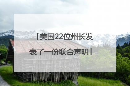 美国22位州长发表了一份联合声明