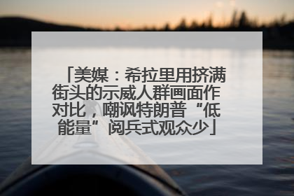 美媒：希拉里用挤满街头的示威人群画面作对比，嘲讽特朗普“低能量”阅兵式观众少