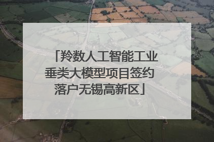 羚数人工智能工业垂类大模型项目签约落户无锡高新区