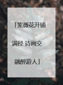 紫薇花开铺满径 诗画交融醉游人