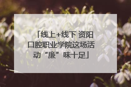 线上+线下 资阳口腔职业学院这场活动“廉”味十足