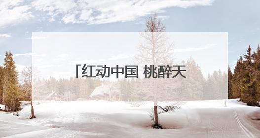 红动中国 桃醉天下——蒙阴蜜桃消费季暨蒙阴蜜桃产业推介会成功举办