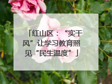 红山区：“实干风”让学习教育照见“民生温度”