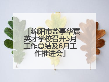 绵阳市盐亭华宸英才学校召开5月工作总结及6月工作推进会