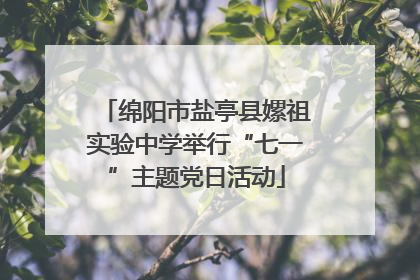 绵阳市盐亭县嫘祖实验中学举行“七一”主题党日活动