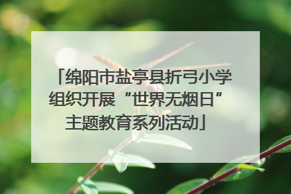 绵阳市盐亭县折弓小学组织开展“世界无烟日”主题教育系列活动
