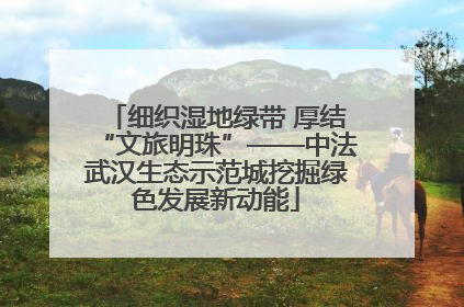 细织湿地绿带 厚结“文旅明珠”——中法武汉生态示范城挖掘绿色发展新动能