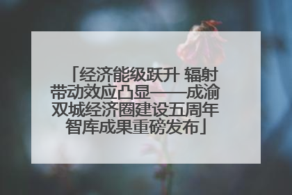 经济能级跃升 辐射带动效应凸显——成渝双城经济圈建设五周年智库成果重磅发布