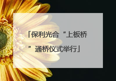 保利光合“上板桥”通桥仪式举行