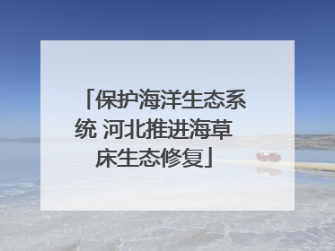 保护海洋生态系统 河北推进海草床生态修复
