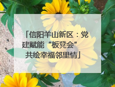 信阳羊山新区：党建赋能“板凳会” 共绘幸福邻里情