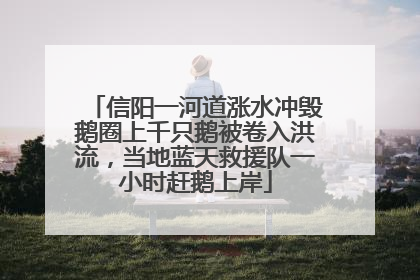 信阳一河道涨水冲毁鹅圈上千只鹅被卷入洪流，当地蓝天救援队一小时赶鹅上岸