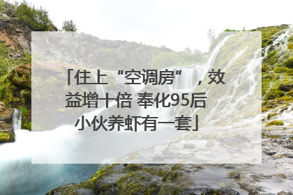 住上“空调房”，效益增十倍 奉化95后小伙养虾有一套