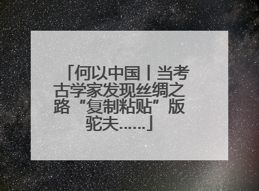 何以中国丨当考古学家发现丝绸之路“复制粘贴”版驼夫……