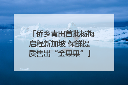 侨乡青田首批杨梅启程新加坡 保鲜提质售出“金果果”
