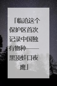临沧这个保护区首次记录中国独有物种——黑顶蛙口夜鹰