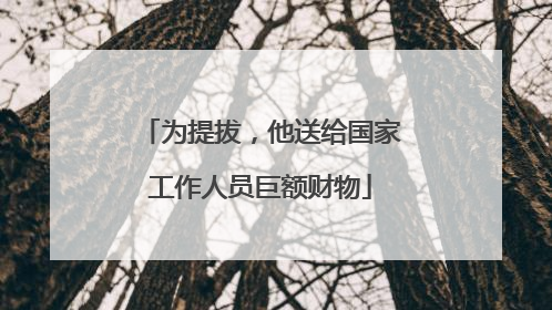 为提拔，他送给国家工作人员巨额财物