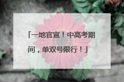 一地官宣！中高考期间，单双号限行！