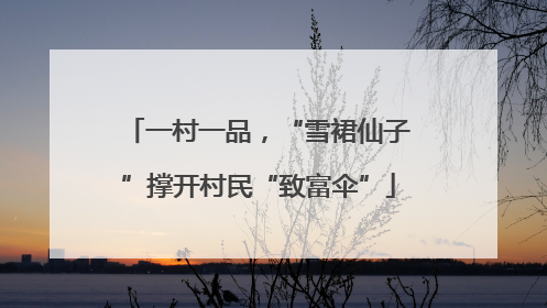 一村一品，“雪裙仙子”撑开村民“致富伞”