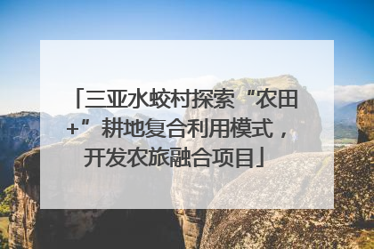 三亚水蛟村探索“农田+”耕地复合利用模式，开发农旅融合项目