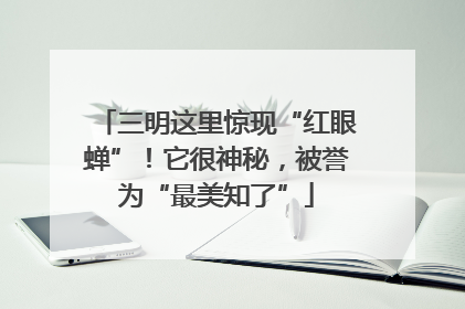 三明这里惊现“红眼蝉”！它很神秘，被誉为“最美知了”