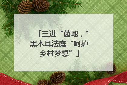 三进“菌地，”黑木耳法庭“呵护乡村梦想”