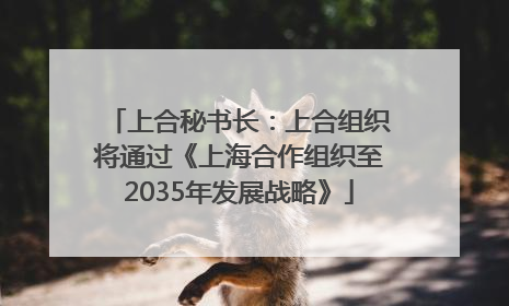 上合秘书长：上合组织将通过《上海合作组织至2035年发展战略》