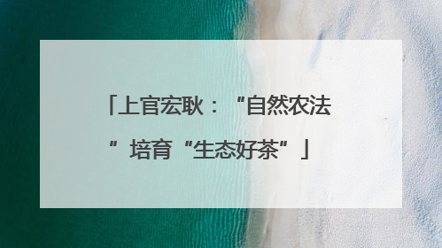 上官宏耿：“自然农法”培育“生态好茶”