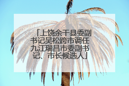 上饶余干县委副书记吴松跨市调任九江瑞昌市委副书记、市长候选人