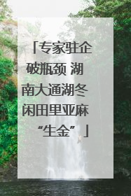 专家驻企破瓶颈 湖南大通湖冬闲田里亚麻“生金”