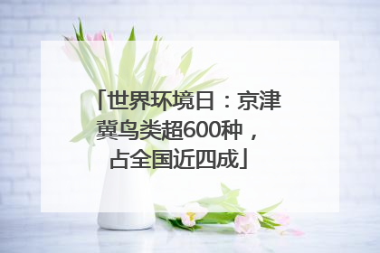 世界环境日：京津冀鸟类超600种，占全国近四成