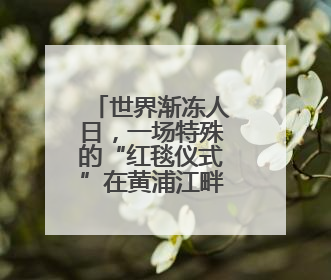 世界渐冻人日，一场特殊的“红毯仪式”在黄浦江畔举行