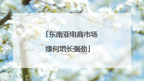 东南亚电商市场缘何增长强劲