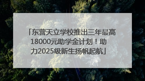 东营天立学校推出三年最高18000元助学金计划！助力2025级新生扬帆起航
