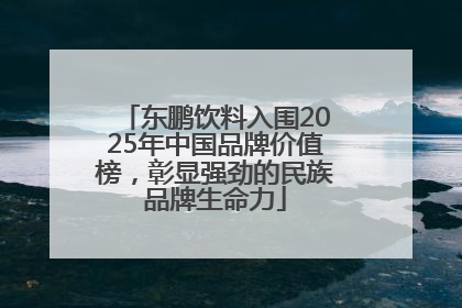 东鹏饮料入围2025年中国品牌价值榜，彰显强劲的民族品牌生命力