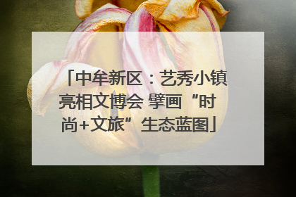 中牟新区：艺秀小镇亮相文博会 擘画“时尚+文旅”生态蓝图