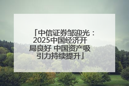 中信证券邹迎光：2025中国经济开局良好 中国资产吸引力持续提升
