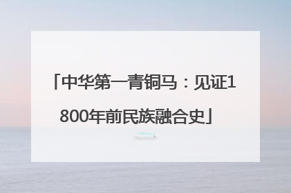 中华第一青铜马：见证1800年前民族融合史