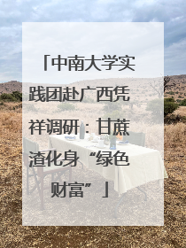 中南大学实践团赴广西凭祥调研：甘蔗渣化身“绿色财富”
