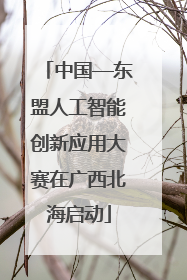 中国—东盟人工智能创新应用大赛在广西北海启动
