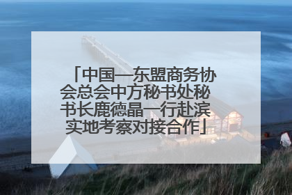 中国—东盟商务协会总会中方秘书处秘书长鹿德晶一行赴滨实地考察对接合作