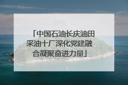 中国石油长庆油田采油十厂深化党建融合凝聚奋进力量