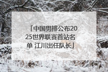 中国男排公布2025世界联赛首站名单 江川出任队长