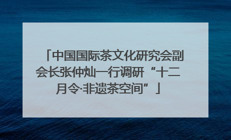 中国国际茶文化研究会副会长张仲灿一行调研“十二月令·非遗茶空间”
