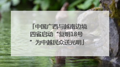 中国广西与越南边境四省启动“复明18号”为中越民众送光明