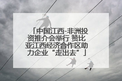 中国江西-非洲投资推介会举行 赞比亚江西经济合作区助力企业“走出去”