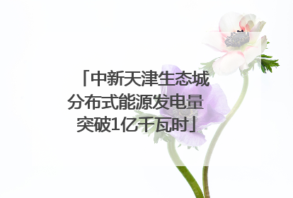 中新天津生态城分布式能源发电量突破1亿千瓦时