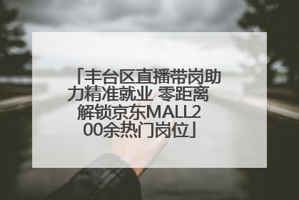 丰台区直播带岗助力精准就业 零距离解锁京东MALL200余热门岗位