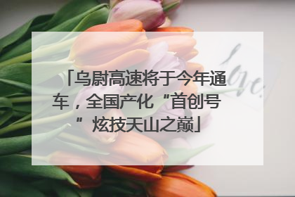 乌尉高速将于今年通车，全国产化“首创号”炫技天山之巅