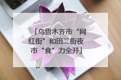 乌鲁木齐市“网红街”和田二街夜市“食”力全开